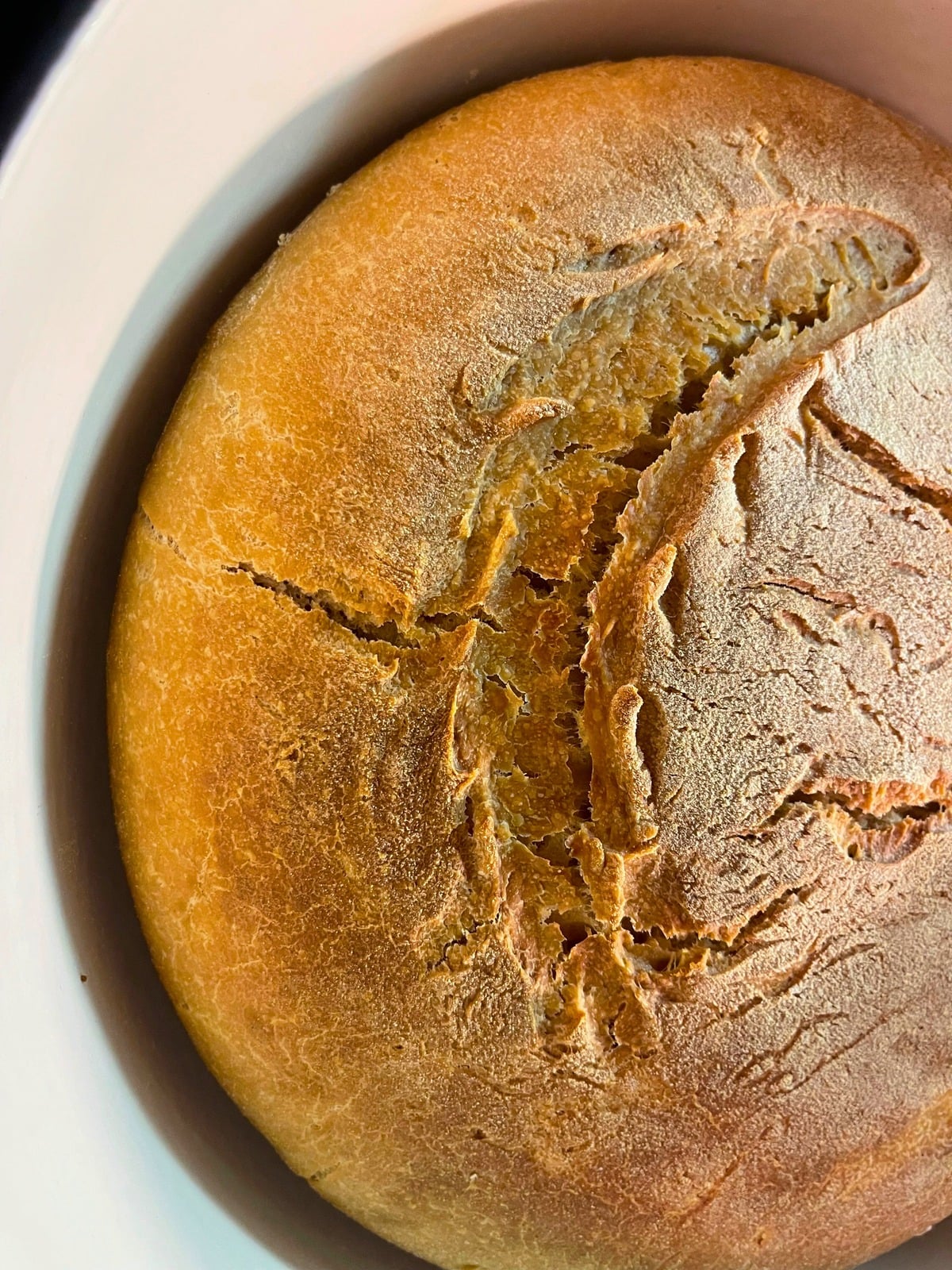 Close-up of a fresh sourdough loaf